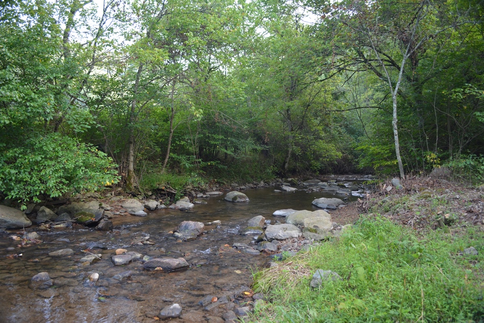 Cabin for Sale in Blue Ridge Mountains